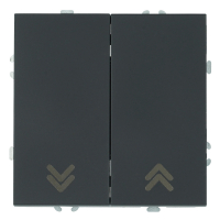 Выключатель 2-клавишный самовозвратный (механизм) Stekker Эмили 250В 10А RSW10-5113-05 черный уголь soft touch 50327