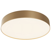 Потолочный светодиодный светильник Maytoni Technical Ceiling Zon C032CL-45W4K-RD-MG