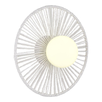 Настенный светильник Evoluce Loom SLE6022-501-01