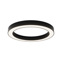 Потолочный светильник Maytoni Lua C093CL-45W4K-B