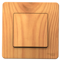 BLANCA скрытой установки одноклавишный выключатель (cх.1), 10A, 250B, ясень Systeme Electric BLNVS010105