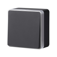 Выключатель одноклавишный проходной Werkel Gallant (черный с серебром) W5012034 4690389164095 a051164