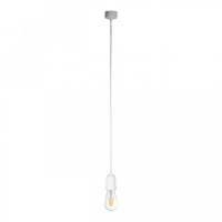 Подвесной светильник Loft IT Sherwood 10091