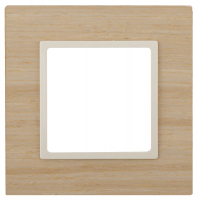 Рамка на 1 пост Эра 14-5301-11 Б0034570