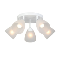 Спот Vitaluce V4355-0/5PL VITALUCE