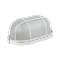 Накладной светильник Feron НБП 04-60-002 53172