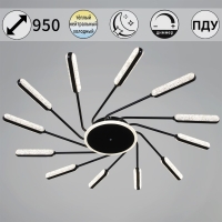 Потолочная люстра Reluce 87290-0.3-12 BK