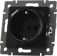 Механизм розетки с USB зарядкой Arlight SCT-MUAC-PL-BK-V (250V, 16A) 049830