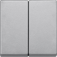 Клавиша двойная Schneider Electric Merten System M MTN433560