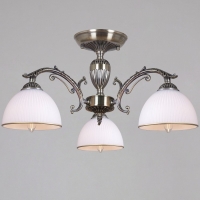 Потолочная люстра Reluce 19018-0.3-03