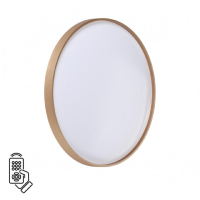 Настенно-потолочный светильник Sonex Tan Gaby 7783/EL