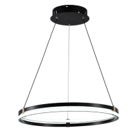 Подвесная люстра Seven Fires Liven SF5023/1P-BK-GD