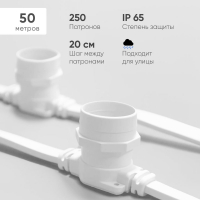 Гирлянда Белт-Лайт Laitcom (LTC) BL50m/250L-8-P