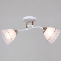 Потолочный светильник Reluce 11460-0.3-02 WH+FG