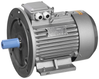 Электродвигатель однофазный АИР2Е 80C2 220В 2.2кВт 3000об/мин 2081 ONI ONP080-C2-002-2-3020