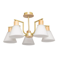 Люстра на штанге De Markt Дэла 635016505