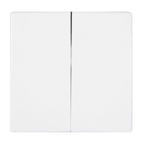 Клавиша для выключателя двухклавишного JUNG EcoProfi EP495WW