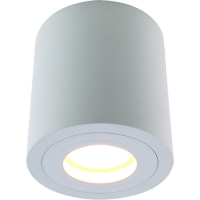 Потолочный светильник Divinare Galopin 1460/03 PL-1