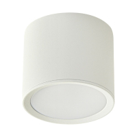 Накладной светильник Reluce 53005-9.5-001LD GX53 WT