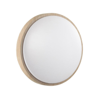 Настенно-потолочный светильник Sonex Pale Losta 7607/CLN