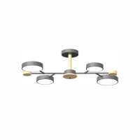 Люстра на штанге LED4U L3213-670 GR