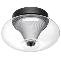 Настенно-потолочный светильник Lightstar Palermo 612017