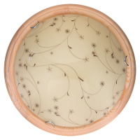 Настенно-потолочный светодиодный светильник Toplight Karissa TL9650Y-00PN