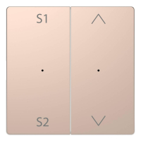 Клавиша двойная Schneider Electric Merten D-Life MTN5227-6051