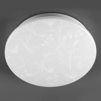 Потолочный светильник General Plant GSMCL-020-24 800261