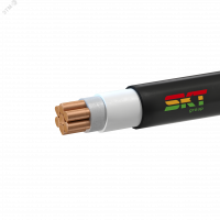 СКТ Групп (Псков) 