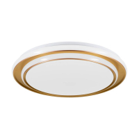 Настенно-потолочный светильник Eglo Moschetta 902045