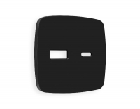 Лицевая панель для розетки 2USB тип A+C Ambrella Volt Omega OP8110