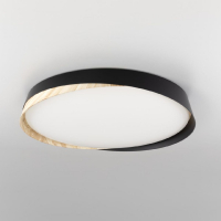 Потолочный светильник Citilux Bonny CL754451G