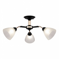 Люстра на штанге Arte Milano Napoli 324108/3 BK+FG