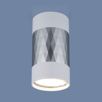 Накладной светильник Elektrostandard DLN110 GU10 белый/серебро 4690389148705