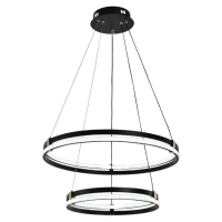 Подвесная люстра Seven Fires Liven SF5023/2P-BK-GD