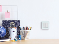 Выключатель двухклавишный INSPIRIA 10 AX 250 В~ белый Legrand/Daccord 673620