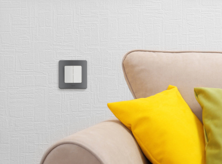 673620 Выключатель двухклавишный INSPIRIA 10 AX 250 В~ белый Legrand/Daccord 