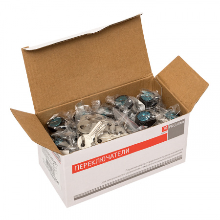 xb2-bg21 Переключатель BG21 2P с замком не возвратный NO EKF 