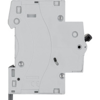 Выключатель автоматический однополюсный RX3 4.5 кА C 10 А Legrand/Daccord 419662