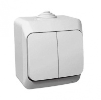 ЭТЮД Выключатель двухклавишный наружный IP44 белый Systeme Electric BA10-042B