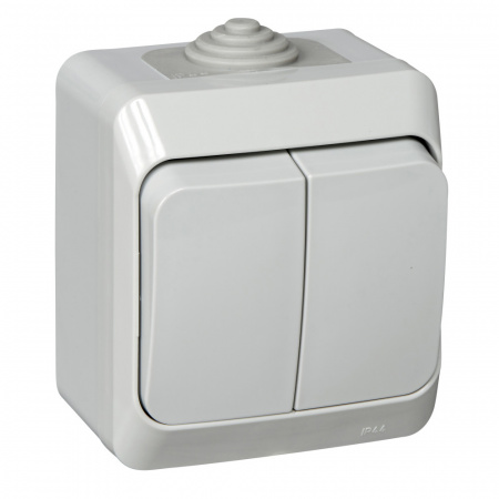ЭТЮД Выключатель двухклавишный наружный IP44 серый Systeme Electric BA10-042C