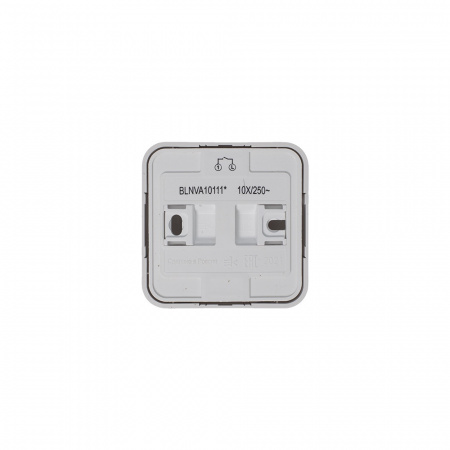 BLNVA101011 Выключатель одноклавишный наружный BLАNCА (cх.1) с изолирующей пластиной, 10А, 250B, белый Systeme Electric 