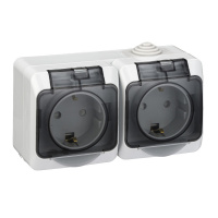 ЭТЮД Розетка двойная наружная с заземлением со шторками IP44 серая Systeme Electric PA16-244C