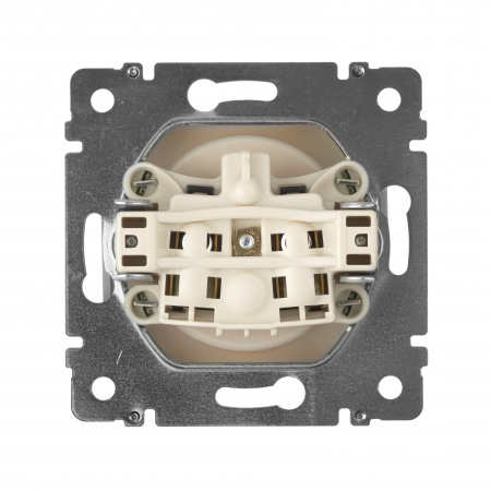 VALENA Розетка без заземления без шторок в рамку слоновая кость Legrand/Daccord 774316