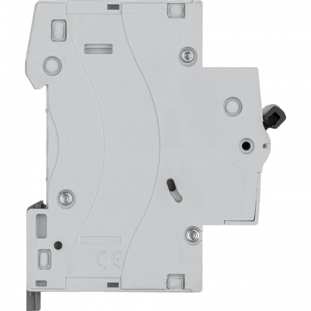 419697 Выключатель автоматический двухполюсный RX3 4.5 кА C 16 А Legrand/Daccord 