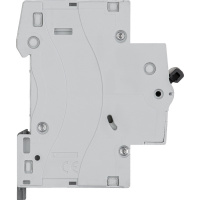 Выключатель автоматический двухполюсный RX3 4.5 кА C 16 А Legrand/Daccord 419697