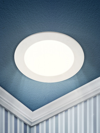 Б0019460 Светильник светодиодный ДВО-24W 4000К 1200Лм d=300мм IP20 круглый ЭРА 