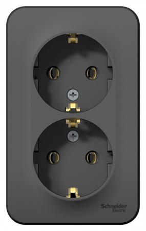 BLANCA розетка наружная двойная с заземлением без шторок с изолирующей пластиной, 16А, 250В, антрацит Systeme Electric BLNRA010216