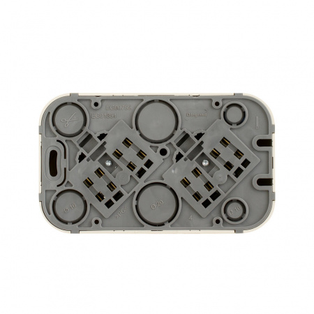 Quteo розетка двойная с заземлением без шторок -  16 A - 250 В IP 20 - Белый Legrand/Daccord 782233